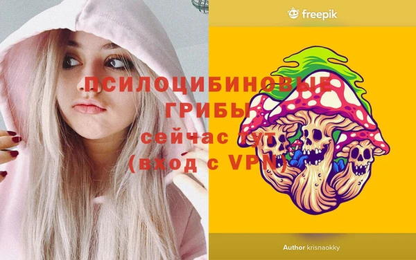 apvp Баксан