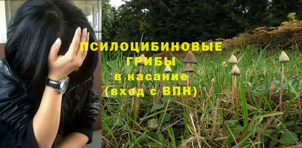 apvp Баксан